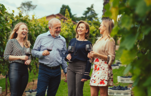 Vinho faz bem à saúde: conheça os benefícios da bebida