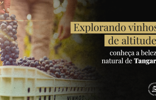 Explorando vinhos de altitude: conheça a beleza natural de Tangará