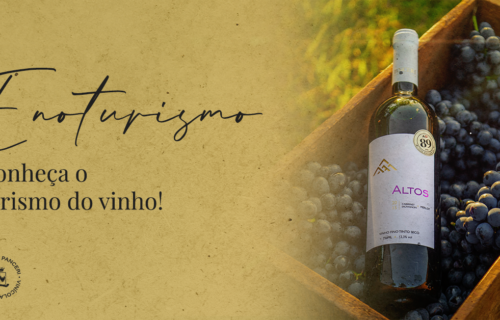 Enoturismo: conheça o turismo do vinho!